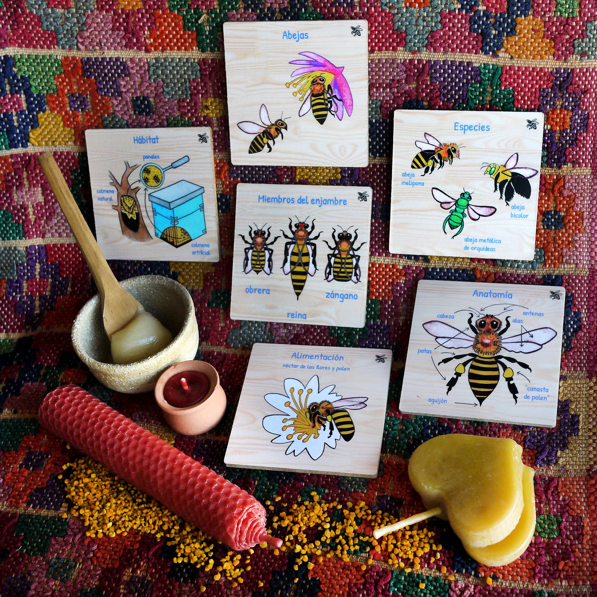Bee ID cards by Emily C-D for Milpazul