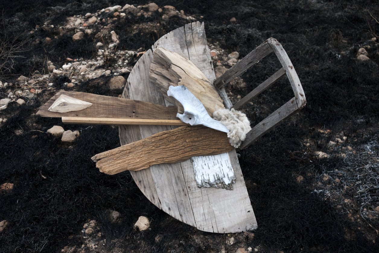 After the Burn, from the Tree Time sculpture series by Emily C-D.