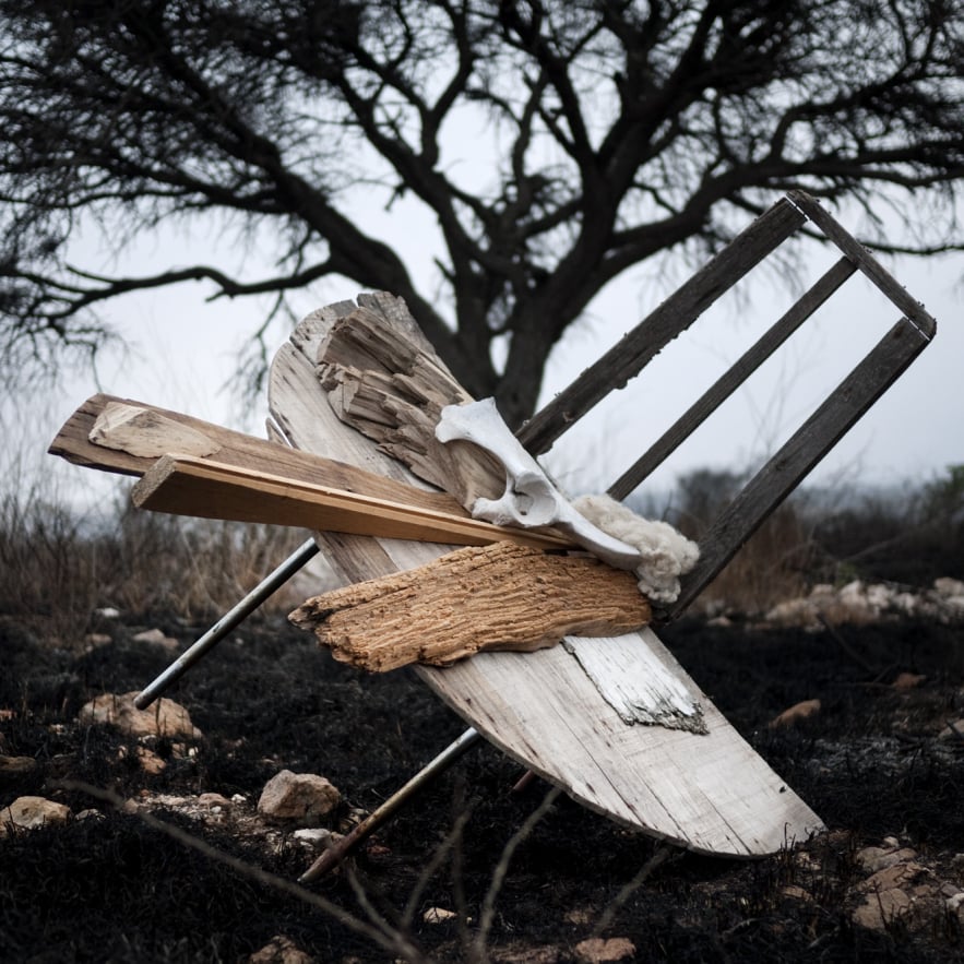 Tree Time wood assemblage work by Emily C-D, part of the online exhibit Silent Acoustic during the Covid-19 pandemic.