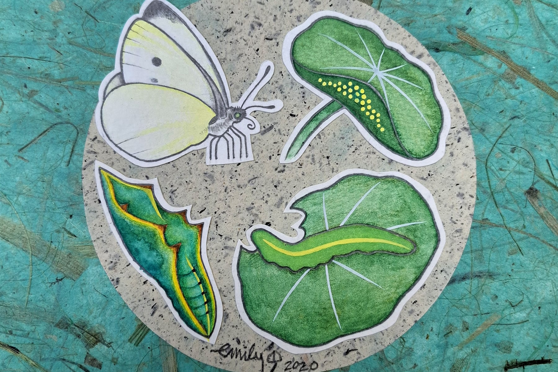 AgroEco ILLO by Emily C-D for Milpazul