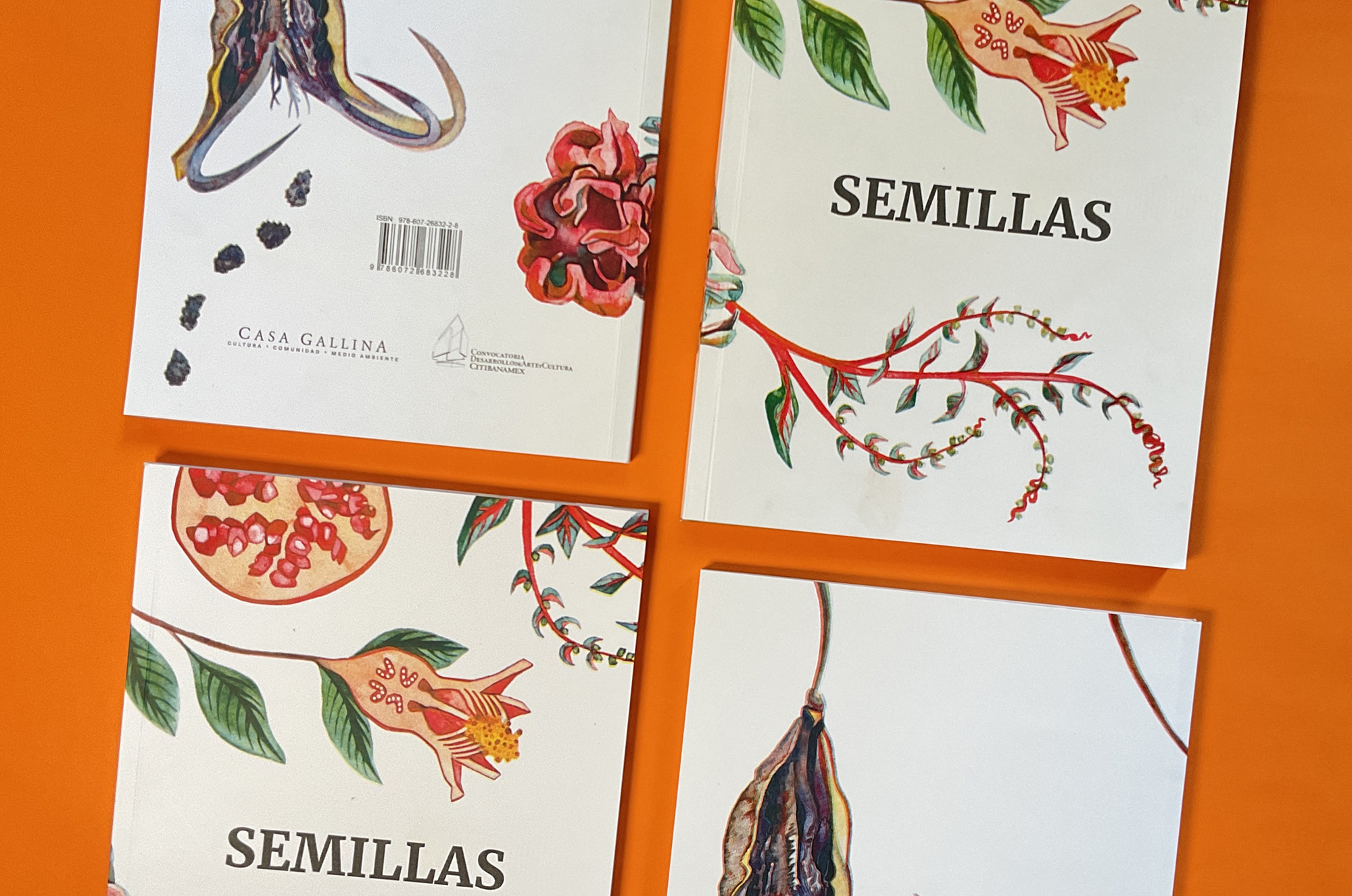 Semillas (Seeds) book published by Casa Gallina with illustrations by Emily C-D.