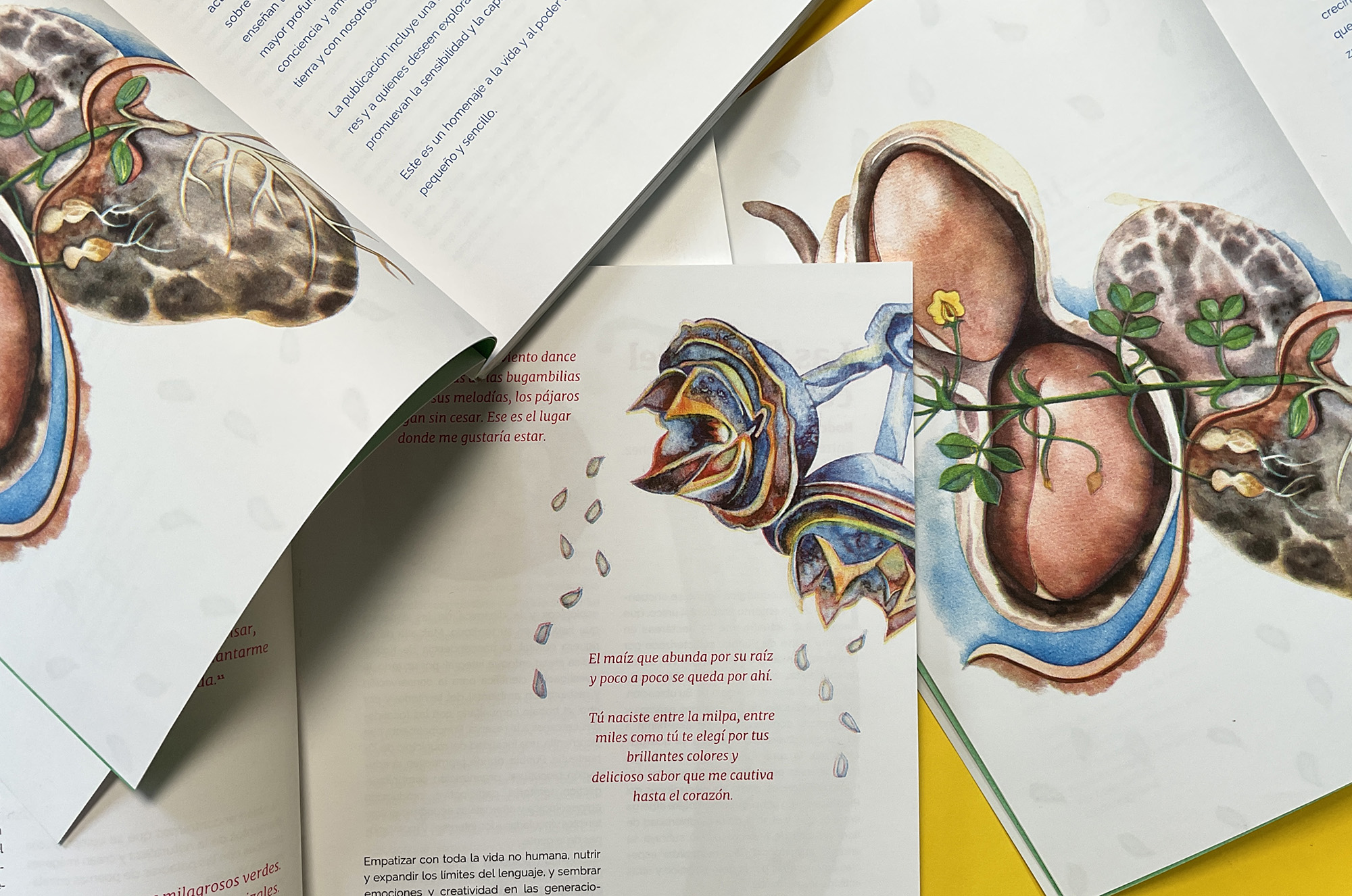 Semillas (Seeds) book published by Casa Gallina with illustrations by Emily C-D.