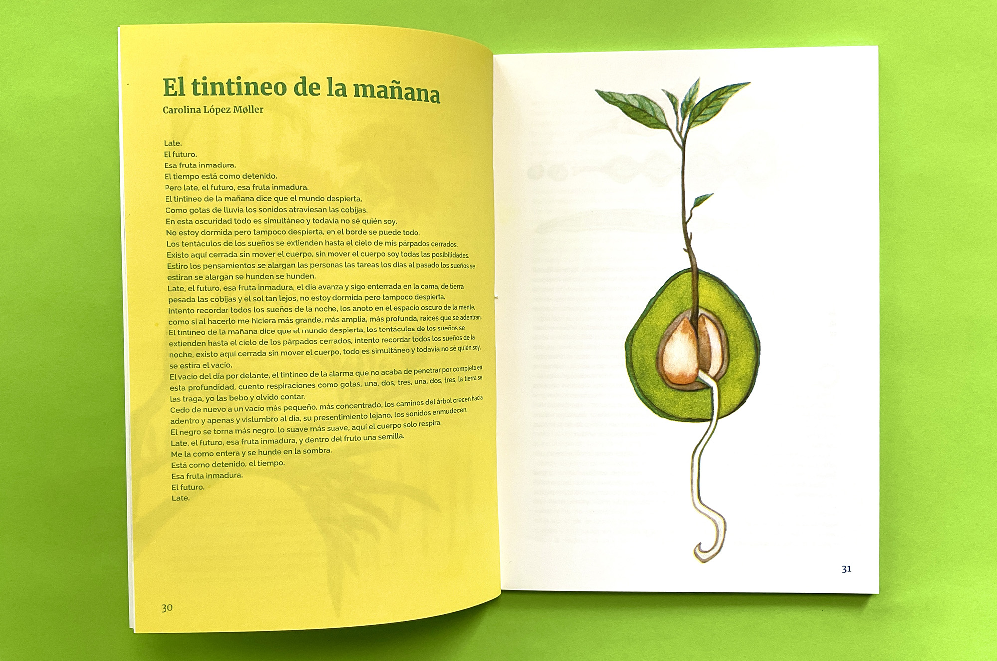 Semillas (Seeds) book published by Casa Gallina with illustrations by Emily C-D.