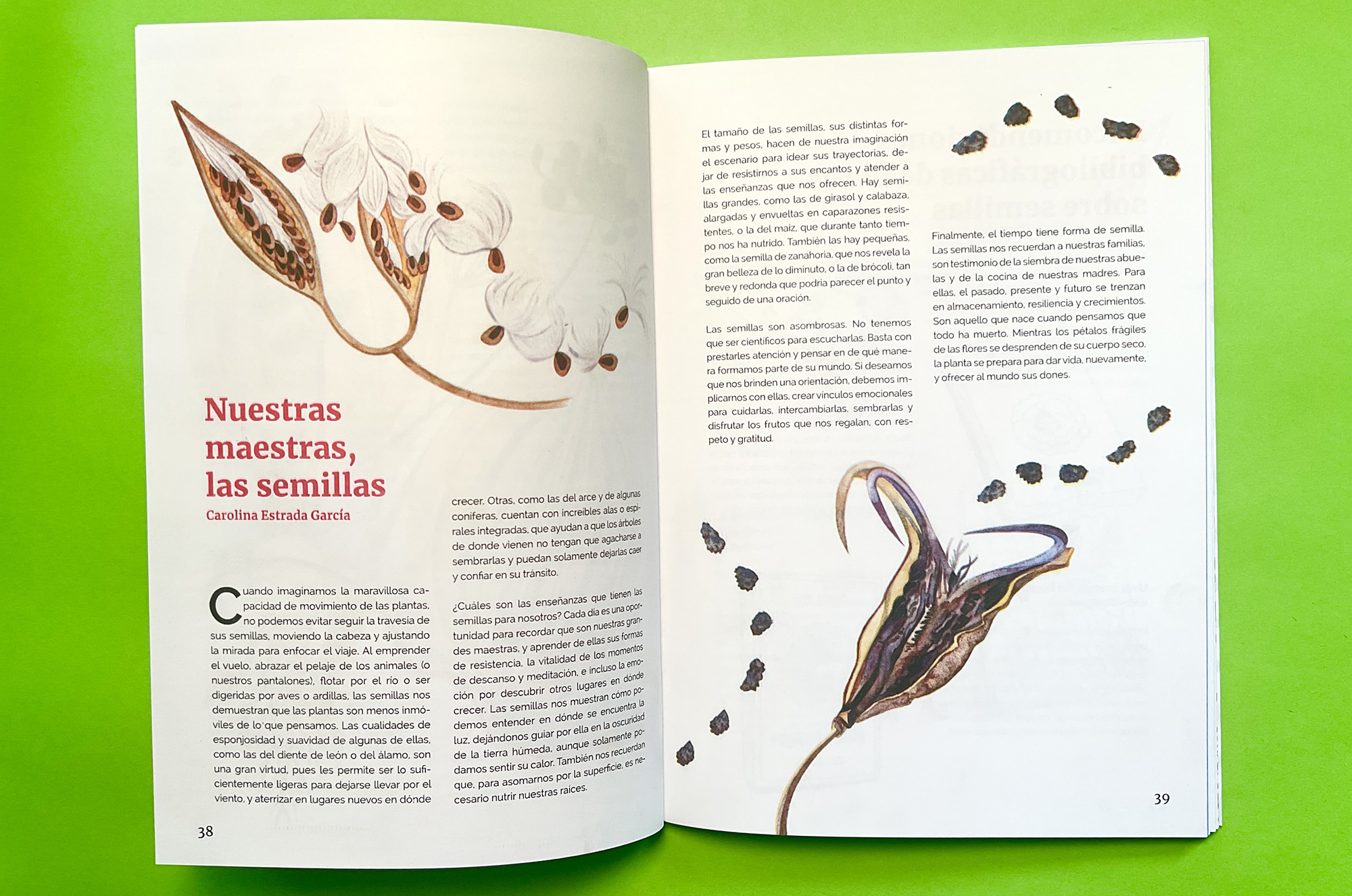 Semillas (Seeds) book published by Casa Gallina with illustrations by Emily C-D.