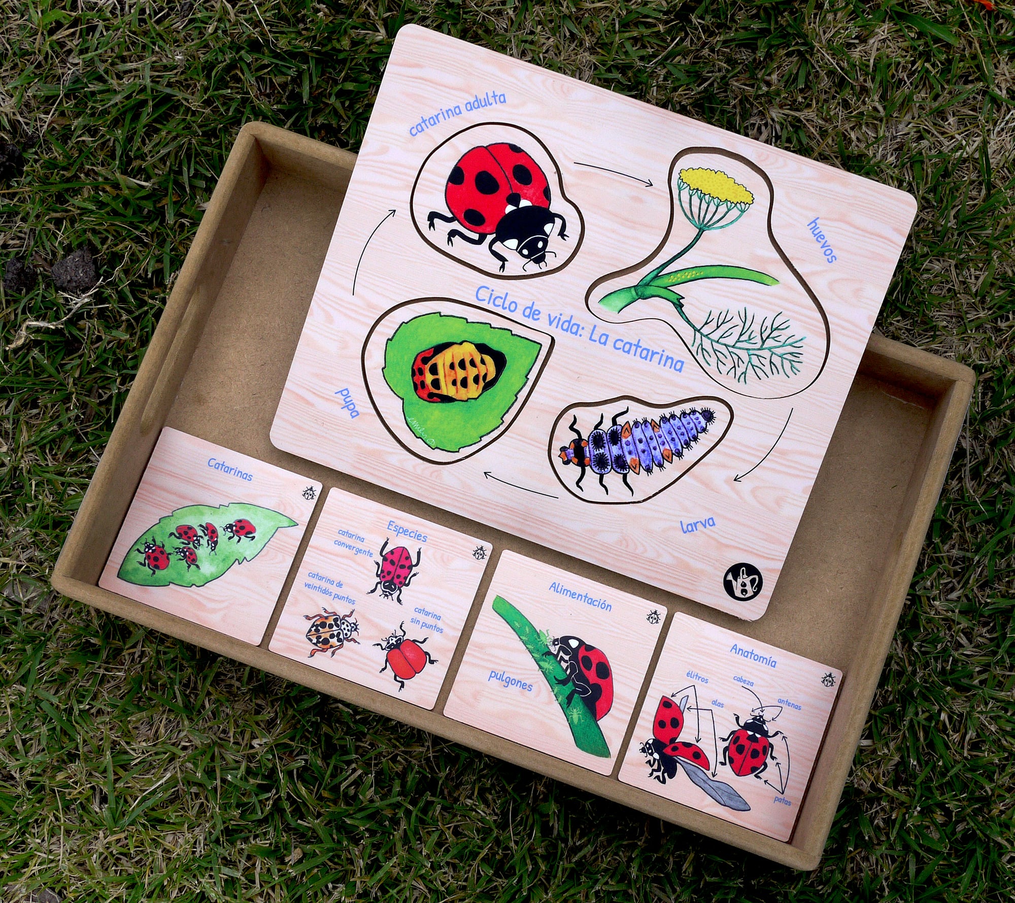 Ladybug puzzle & ID cards by Emily C-D for Milpazul