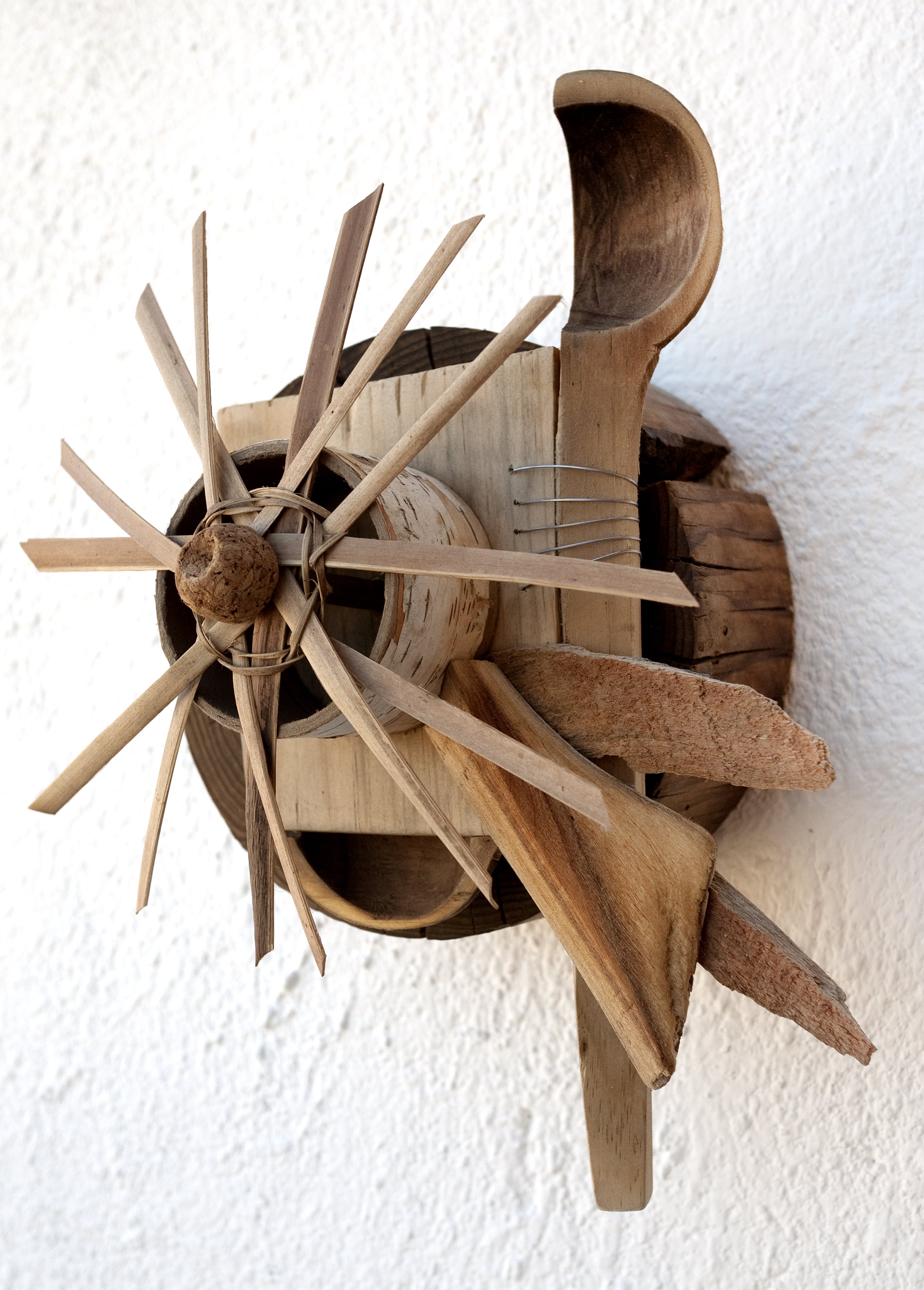 Timepiece, from the Tree Time sculpture series by Emily C-D.