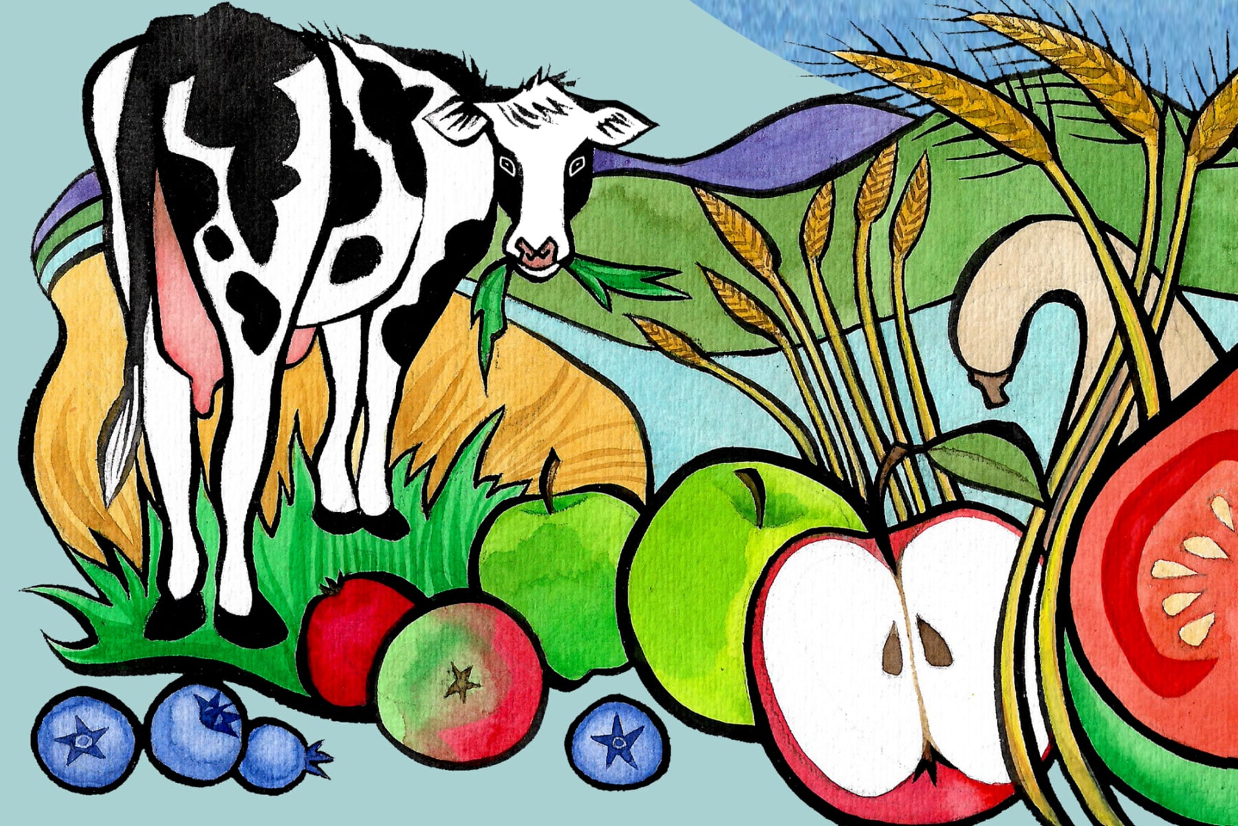 AgroEco ILLO by Emily C-D for NOFA-VT