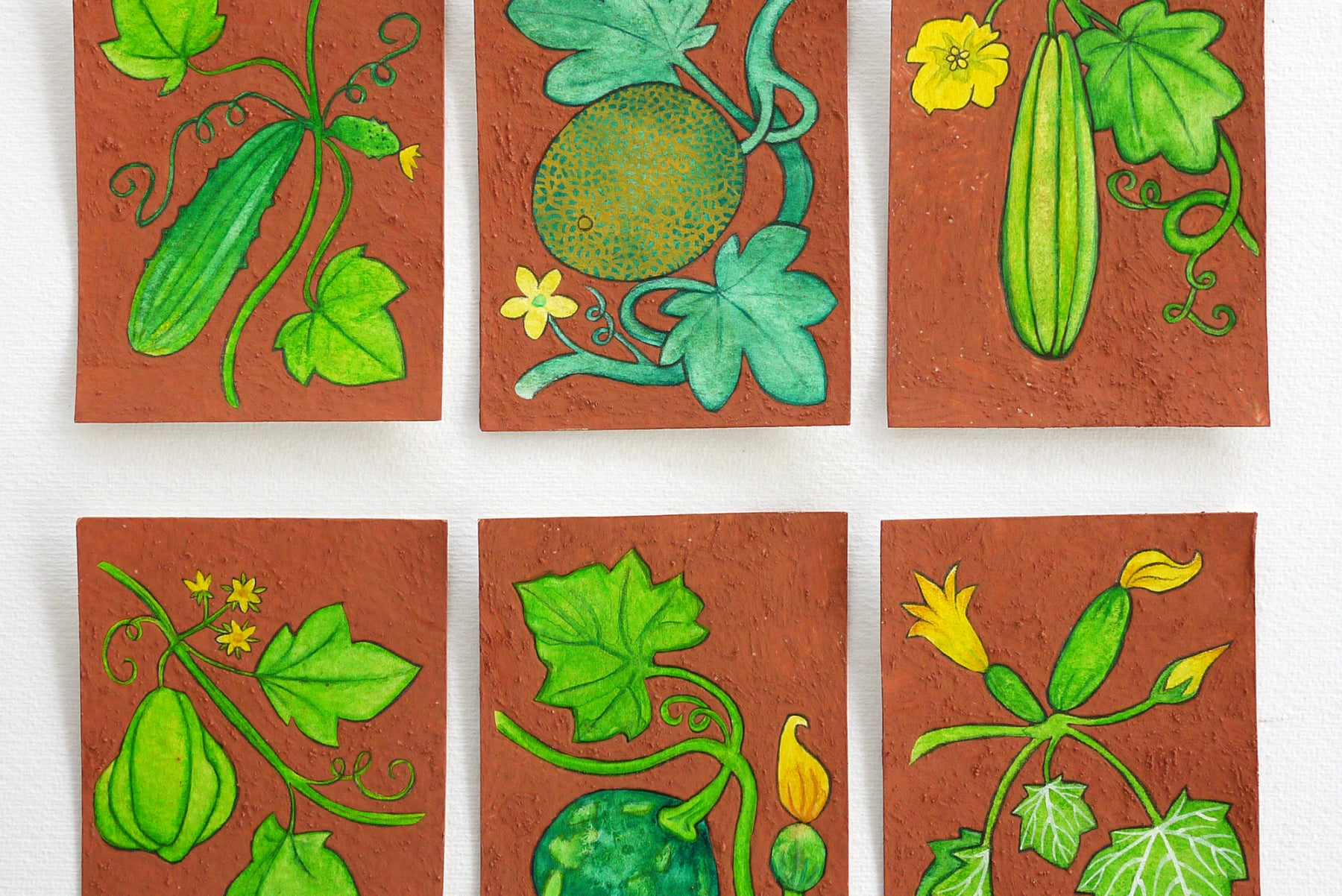 AgroEco ILLO by Emily C-D for Milpazul