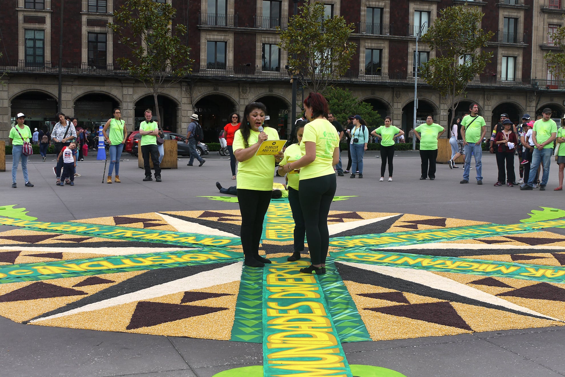 Mobirise Website Build Florecer Aquí y Allá ephemeral installation by Emily C-D in the Zocalo main square of Mexico City, 2019.er