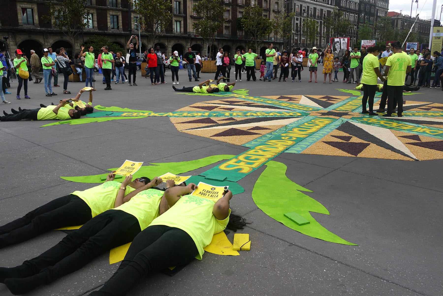  Florecer Aquí y Allá ephemeral installation by Emily C-D in the Zocalo main square of Mexico City, 2019.