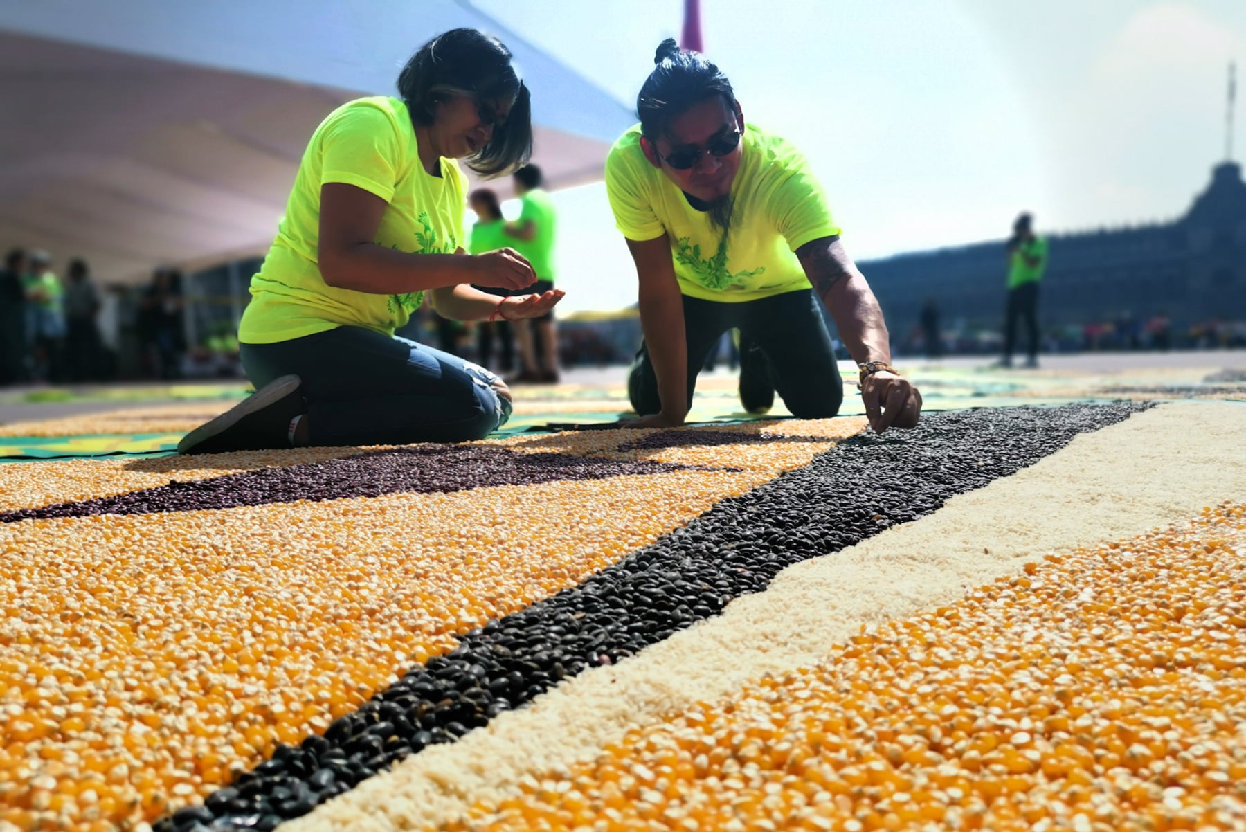  Florecer Aquí y Allá ephemeral installation by Emily C-D in the Zocalo main square of Mexico City, 2019.