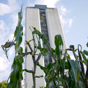 Somos Semilla Seed Library