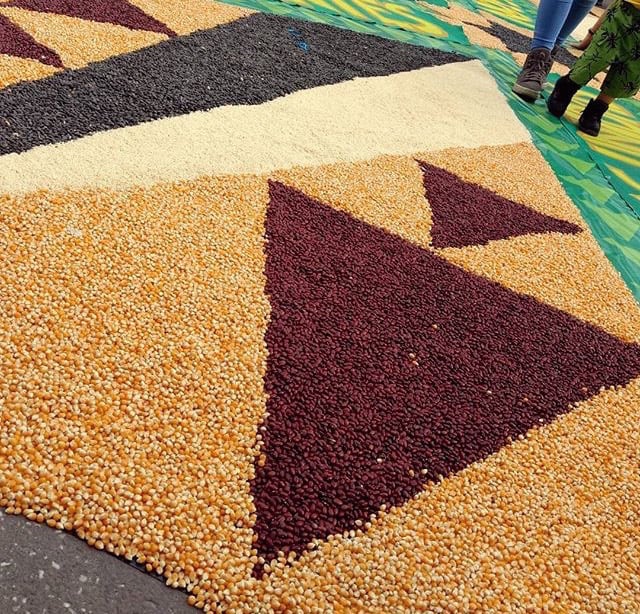 Seeds detail of the Florecer Aquí y Allá ephemeral installation by Emily C-D in the Zocalo main square of Mexico City, 2019.