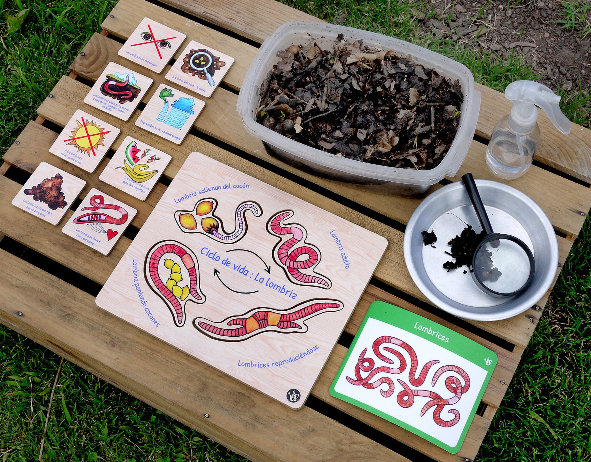 Earthworm puzzle & ID cards by Emily C-D for Milpazul