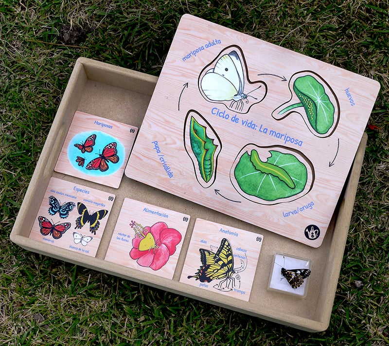 Butterfly puzzle & ID cards by Emily C-D for Milpazul