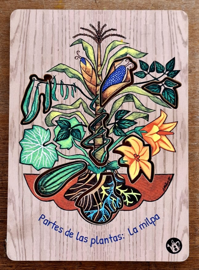 Three sisters garden puzzle by Emily C-D for Milpazul