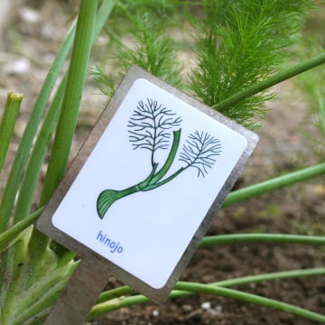 Somos Semilla Seed Library