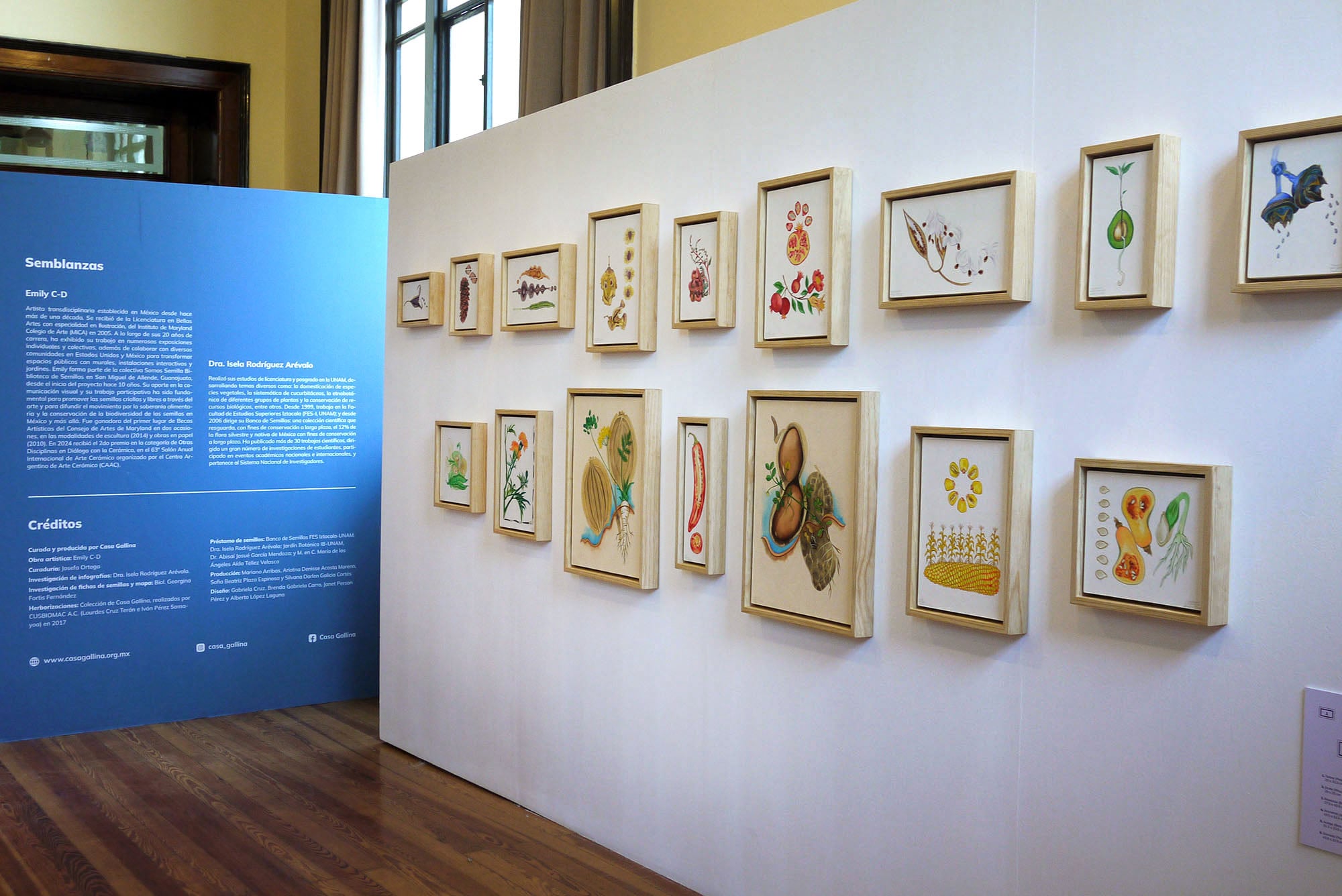 Semillas Exhibition, collaboration of Emily C-D and Casa Gallina at the Geology Museum in Mexico City, 2025.