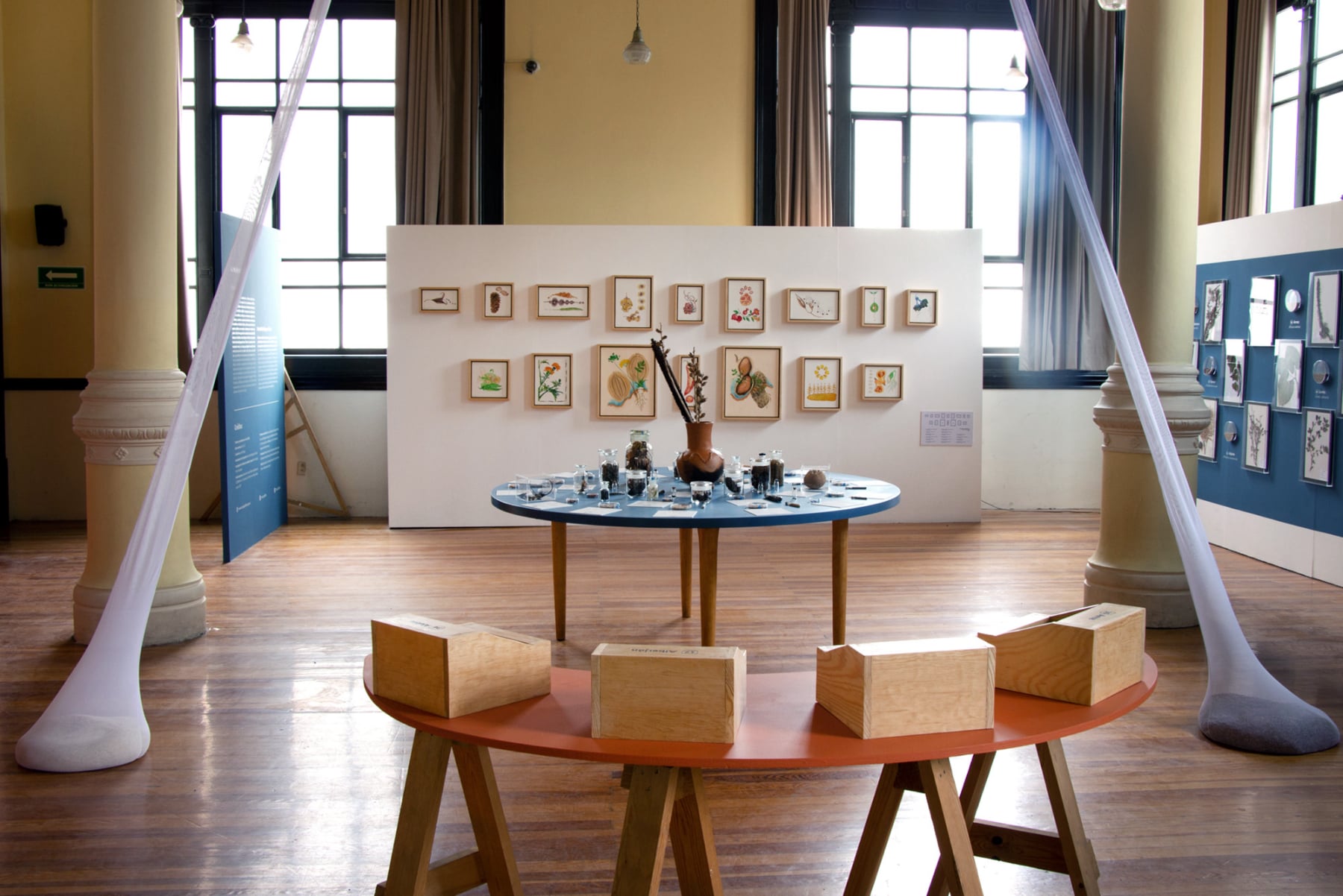 Semillas Exhibition, collaboration of Emily C-D and Casa Gallina at the Geology Museum in Mexico City, 2025.