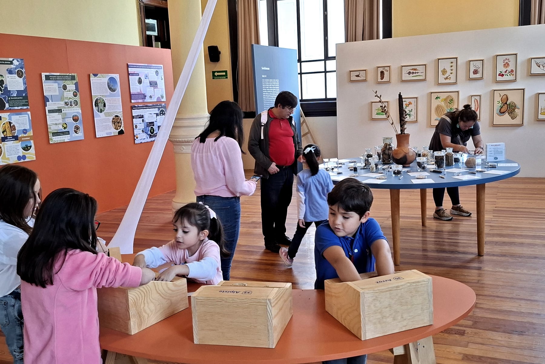 Semillas Exhibition, collaboration of Emily C-D and Casa Gallina at the Geology Museum in Mexico City, 2025.