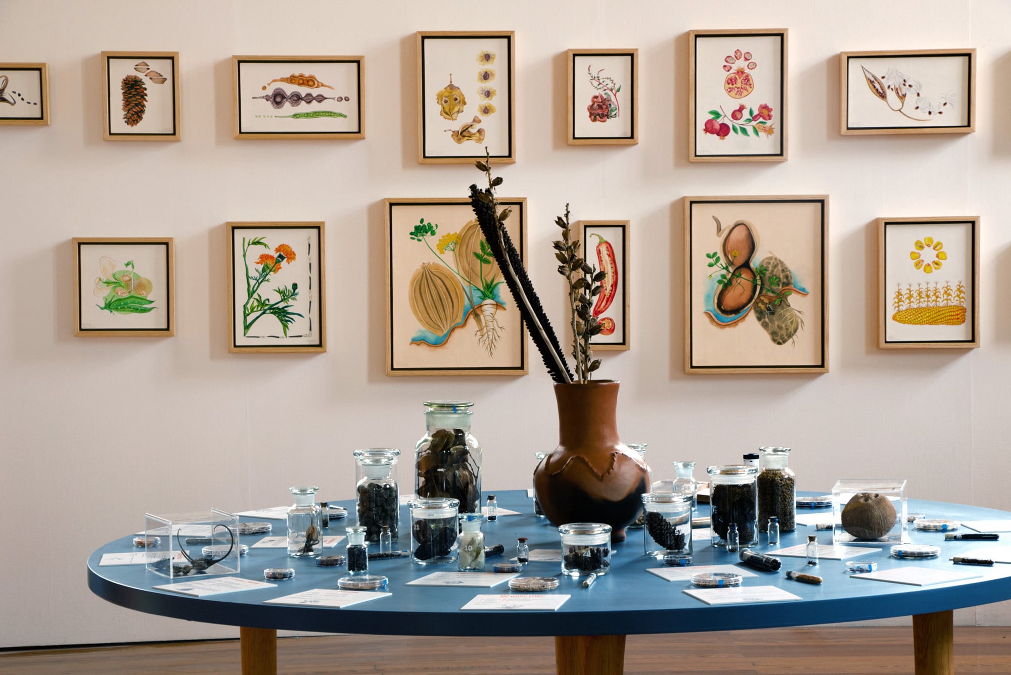 Semillas Exhibition, collaboration of Emily C-D and Casa Gallina at the Geology Museum in Mexico City, 2025.