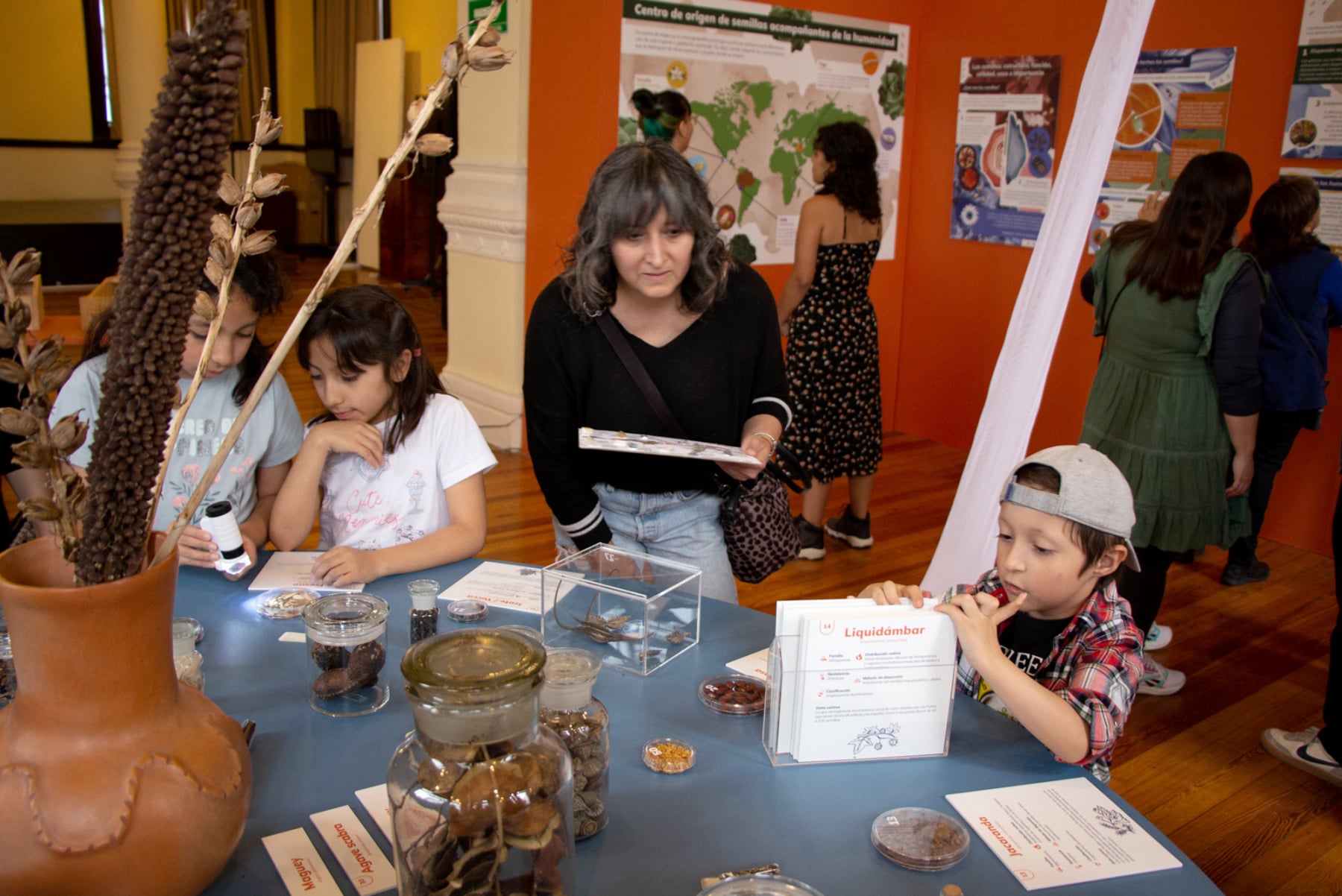 Semillas Exhibition, collaboration of Emily C-D and Casa Gallina at the Geology Museum in Mexico City, 2025.