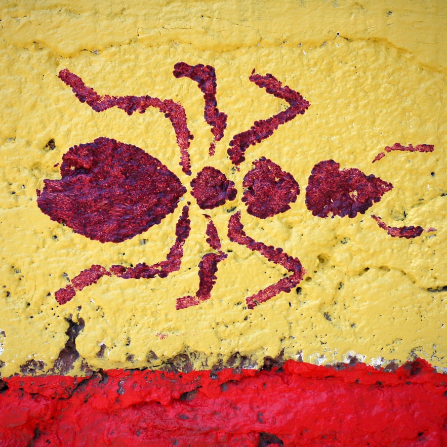 Huerto Tlatelolco urban garden paintings by Emily C-D, Mexico City, 2023.