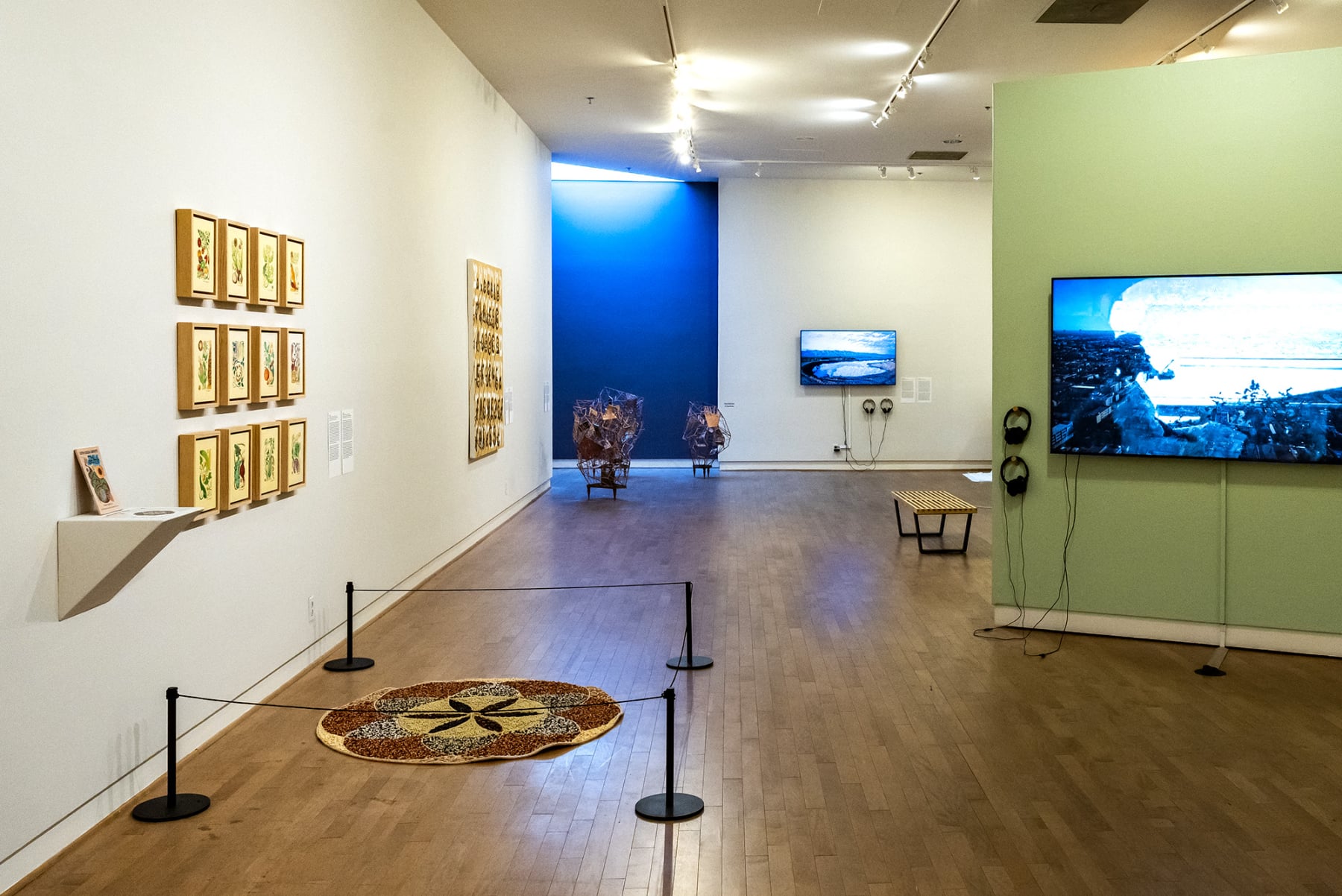 Seeds for Everyone installation by Emily C-D for the Land of Milk and Honey exhibition, MexiCali Biennial, 2022-23.