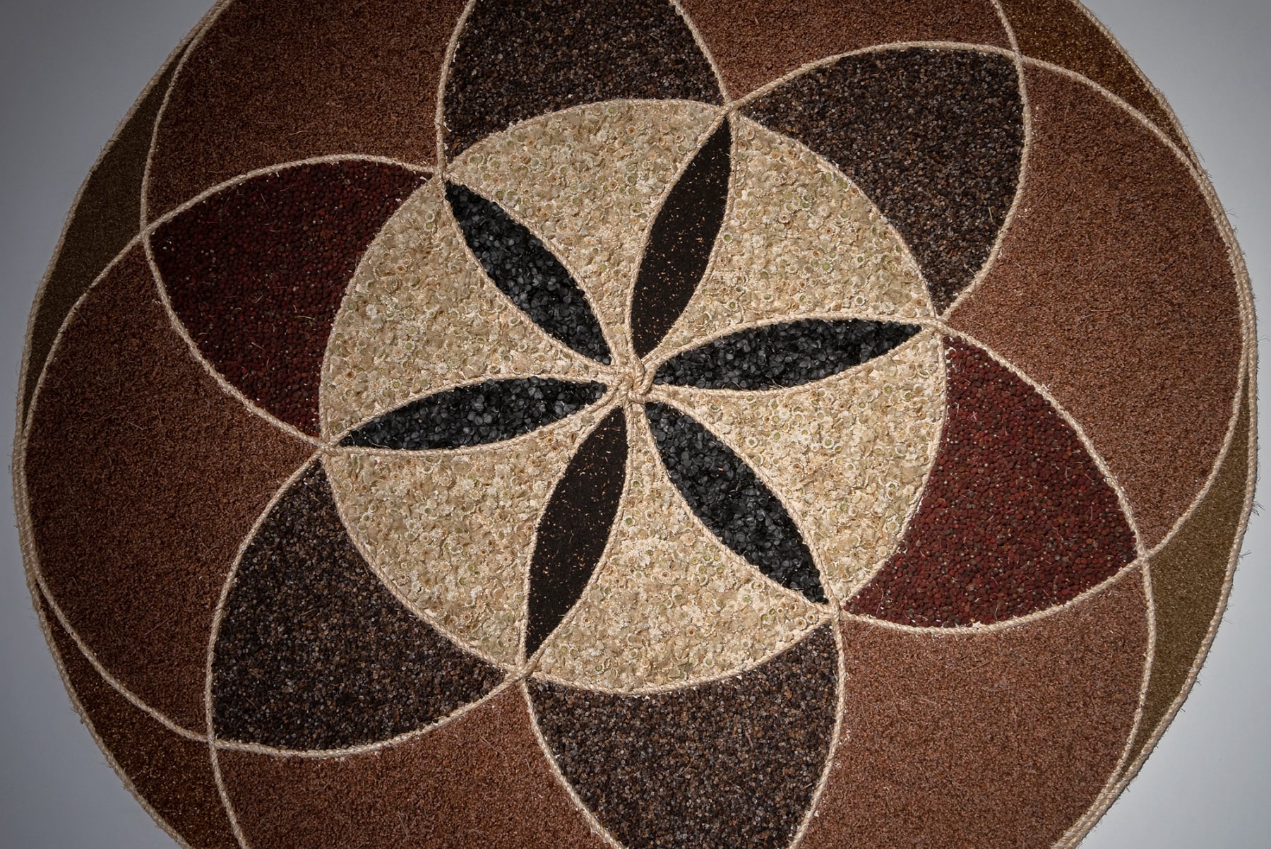 Seeds for Everyone installation by Emily C-D for the Land of Milk and Honey exhibition, MexiCali Biennial, 2022-23.