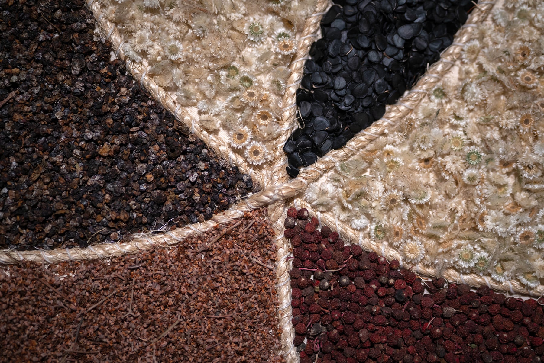 Seeds for Everyone installation by Emily C-D for the Land of Milk and Honey exhibition, MexiCali Biennial, 2022-23.